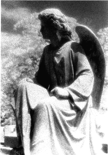 LargeAngel
